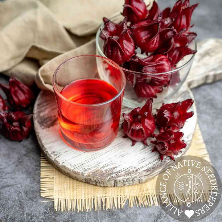 Asian Sour Leaf Roselle Seeds