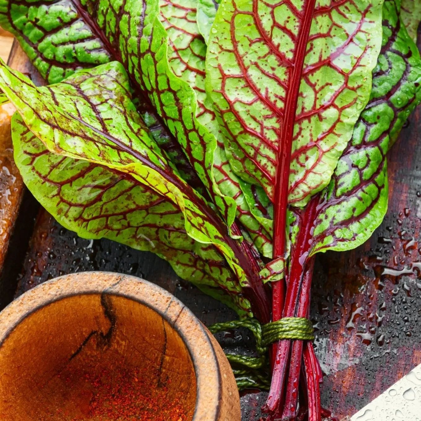 Sorrel Seeds - Red Veined Sorrel - Alliance of Native Seedkeepers - Herb Seeds