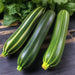 Squash Seeds - Cocozelle Zucchini - Alliance of Native Seedkeepers -