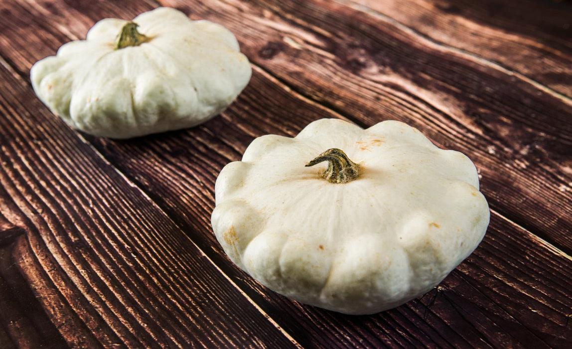 Squash Seeds - Early White Bush Scallop - Alliance of Native Seedkeepers - Squash