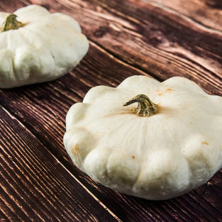 Squash Seeds - Early White Bush Scallop - Alliance of Native Seedkeepers - Squash