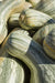 Squash Seeds - Green Striped Cushaw - Alliance of Native Seedkeepers - Squash