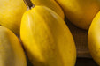Squash Seeds - Spaghetti - Alliance of Native Seedkeepers - Squash