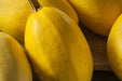 Squash Seeds - Spaghetti - Alliance of Native Seedkeepers - Squash