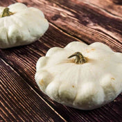 Squash Seeds - Summer - Bush - Early White Bush Scallop - Alliance of Native Seedkeepers - Vegetable Seeds