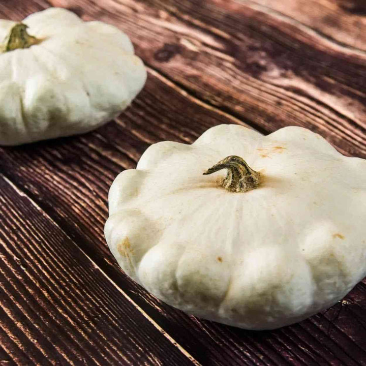 Early White Bush Scallop Squash Seeds