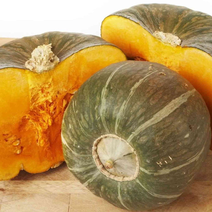 Burgess Buttercup Winter squash Seeds