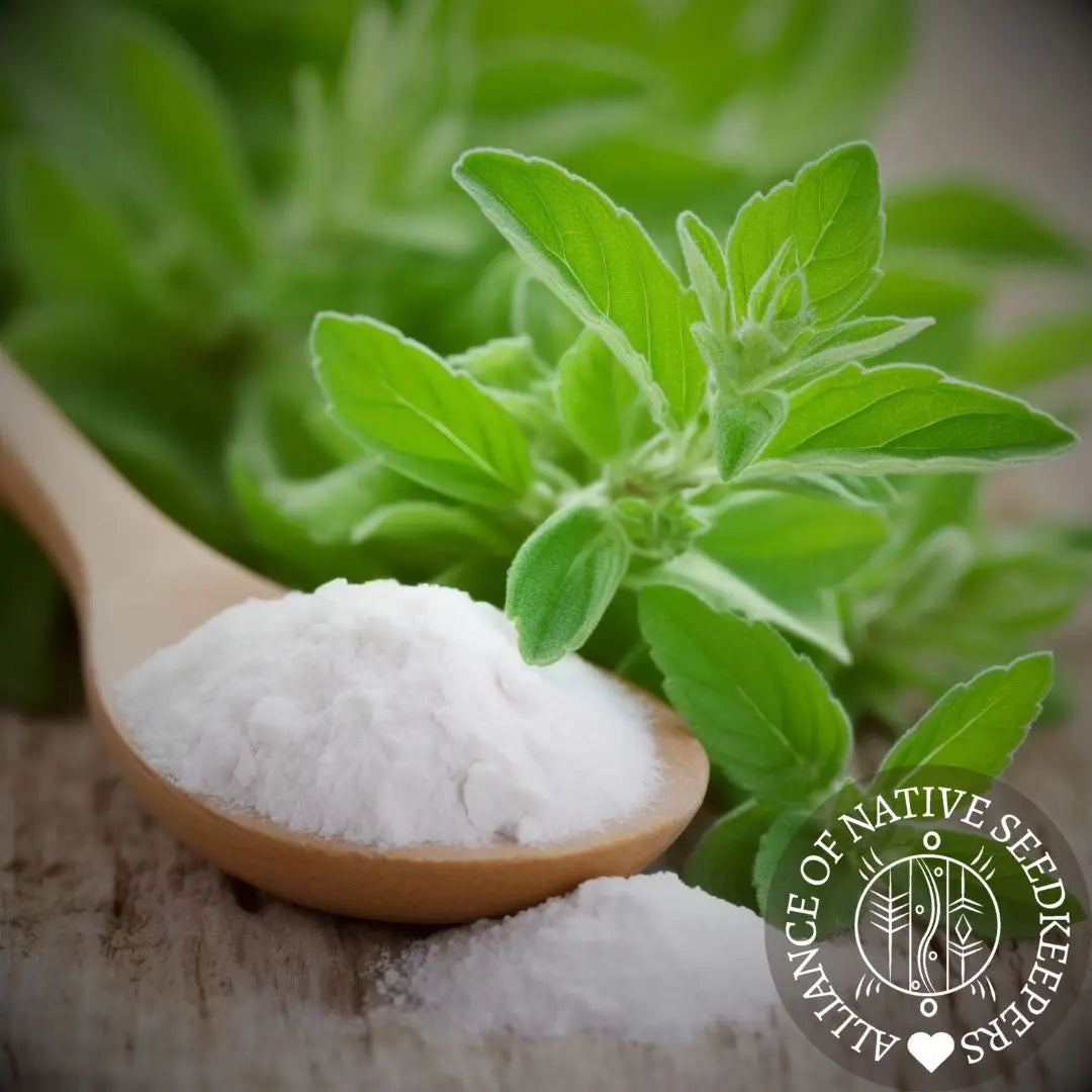 Stevia Seeds Sweet — Alliance of Native Seedkeepers