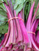 Swiss Chard Seeds - Magenta Sunset - Alliance of Native Seedkeepers - Chard