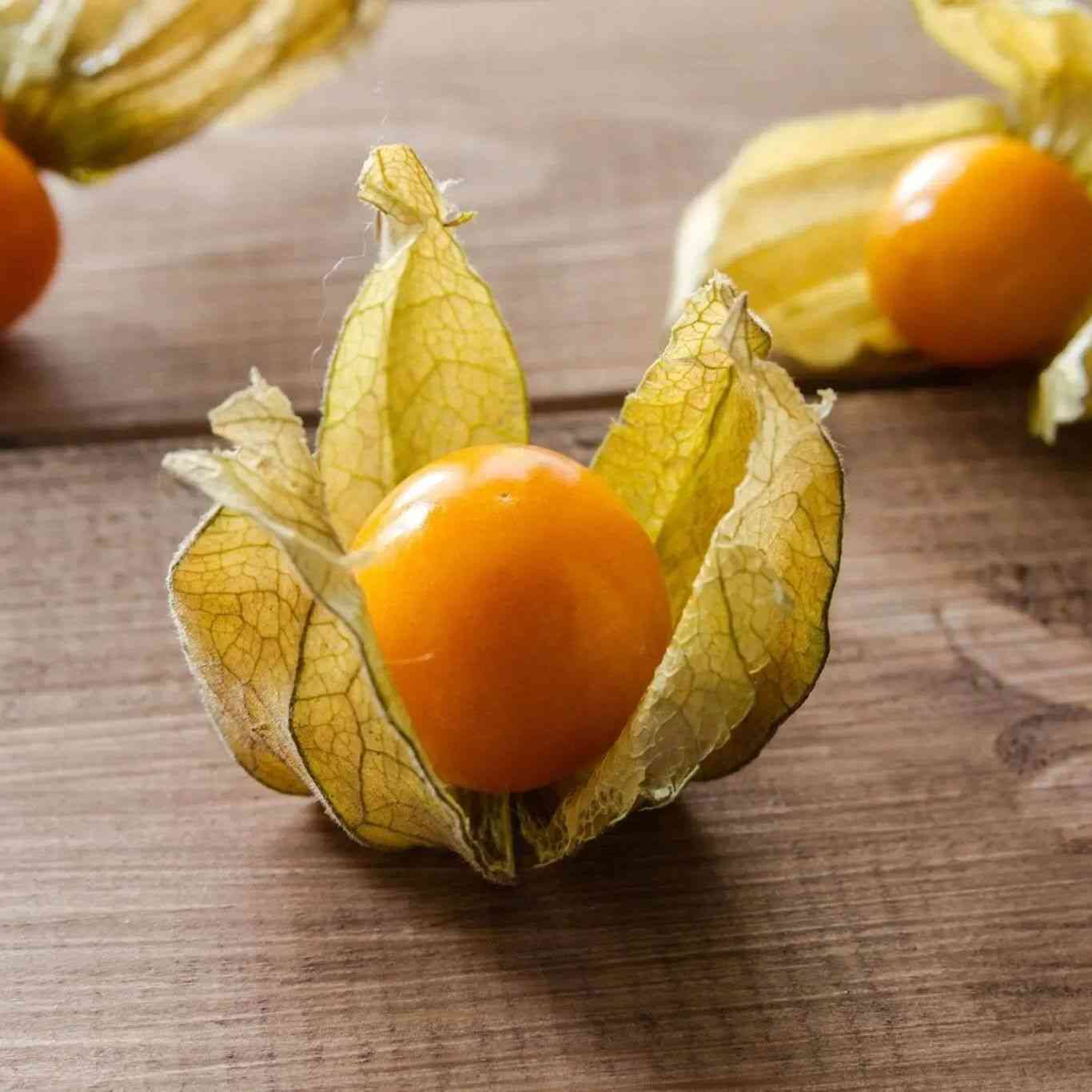 Tomatillo Seeds - Peruviana - Cape Gooseberry - Alliance of Native Seedkeepers - Vegetable Seeds