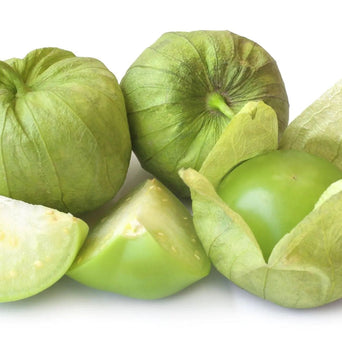 Tomatillo Seeds - Rio Grande Verde - Alliance of Native Seedkeepers - Tomatillo