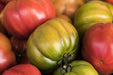 Tomato, Italian Heirloom - Alliance of Native Seedkeepers - Tomato