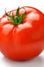 Tomato Seeds - Abe Lincoln Original - Alliance of Native Seedkeepers - Tomato
