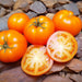 Tomato Seeds - Amana Orange - Alliance of Native Seedkeepers -