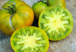 Tomato Seeds - Aunt Rubys Green German - Alliance of Native Seedkeepers - All Products
