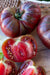 Tomato Seeds - Black Krim - Alliance of Native Seedkeepers - Tomato