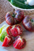 Tomato Seeds - Black Krim - Alliance of Native Seedkeepers - Tomato
