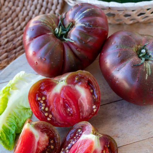 Tomato Seeds - Black Krim - Alliance of Native Seedkeepers - Tomato