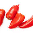 Tomato Seeds - Blue Beech - Alliance of Native Seedkeepers - 0. New Items 2022