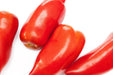 Tomato Seeds - Blue Beech - Alliance of Native Seedkeepers - 0. New Items 2022