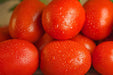 Tomato Seeds - Cherry Roma - Alliance of Native Seedkeepers - Tomato