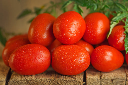 Tomato Seeds - Cherry Roma - Alliance of Native Seedkeepers - Tomato