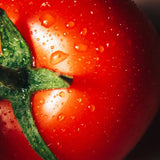 Tomato Seeds - Determinate - Floradade Tomato Standard - Alliance of Native Seedkeepers - Vegetable Seeds