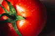 Tomato Seeds - Floradade - Alliance of Native Seedkeepers - Tomato