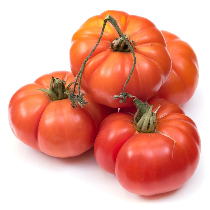 Tomato Seeds - Floradel - Alliance of Native Seedkeepers - 0. New Items 2022
