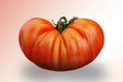 Tomato Seeds - German Johnson - Alliance of Native Seedkeepers -