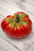 Tomato Seeds - German Johnson Pink - Alliance of Native Seedkeepers - Tomato