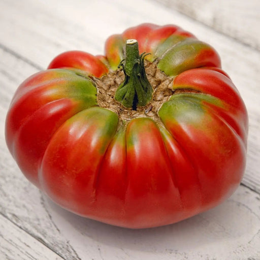 Tomato Seeds - German Johnson Pink - Alliance of Native Seedkeepers - Tomato