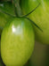 Tomato Seeds - Green Grape - Alliance of Native Seedkeepers - Tomato