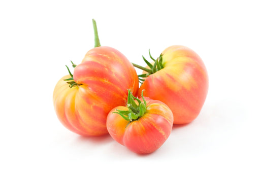 Tomato Seeds - Hillbilly - Alliance of Native Seedkeepers - Tomato Striped