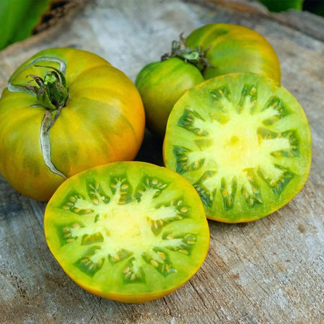 Tomato Seeds - Indeterminate - Aunt Ruby's German Green Beefsteak - Alliance of Native Seedkeepers - Vegetable Seeds