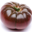 Tomato Seeds - Indeterminate - Carbon Beefsteak - Alliance of Native Seedkeepers - Vegetable Seeds