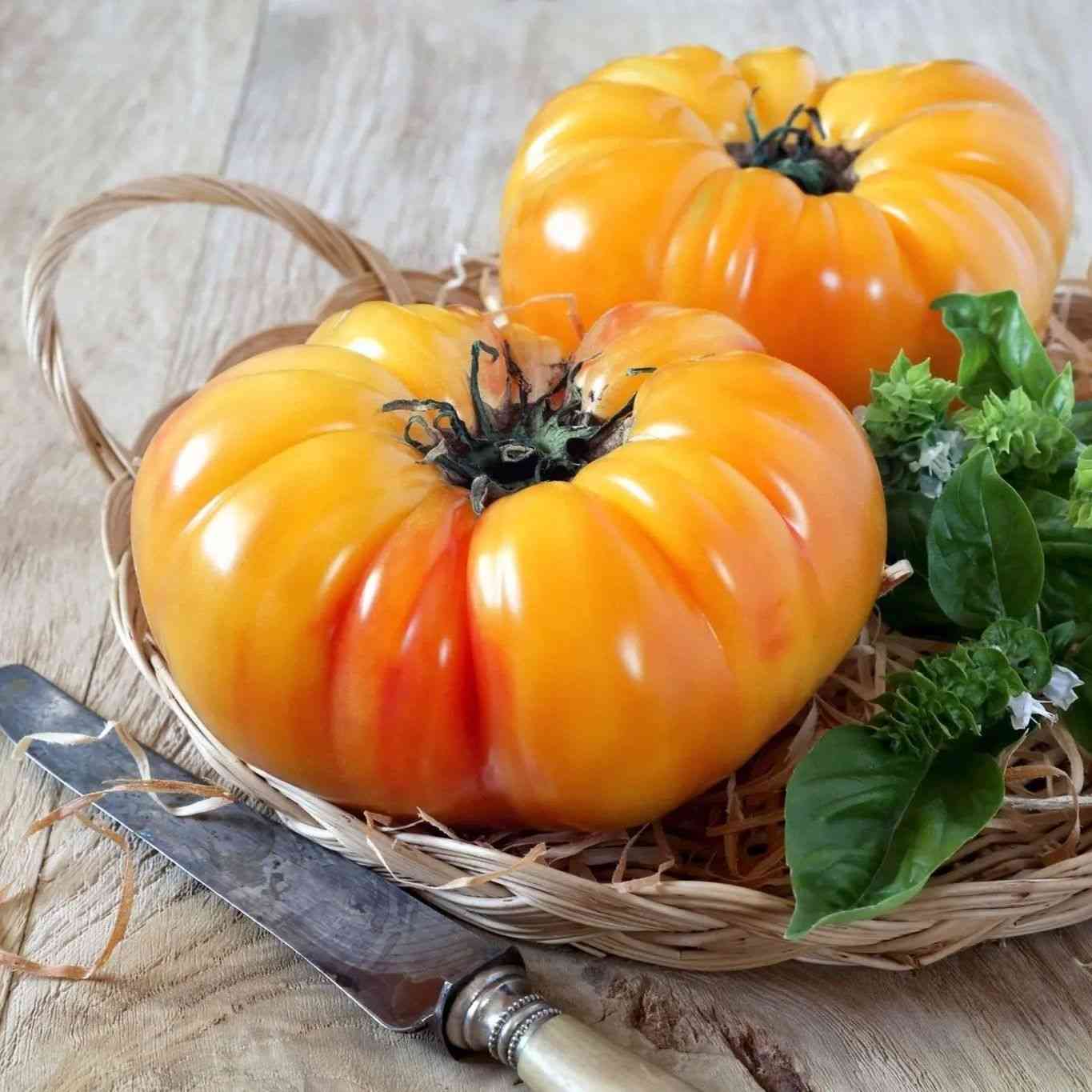 Tomato Seeds - Pineapple Tomato Seeds | Bicolor, Indeterminate