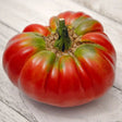 Tomato Seeds - Indeterminate - German Johnson Pink Beefsteak - Alliance of Native Seedkeepers - Vegetable Seeds