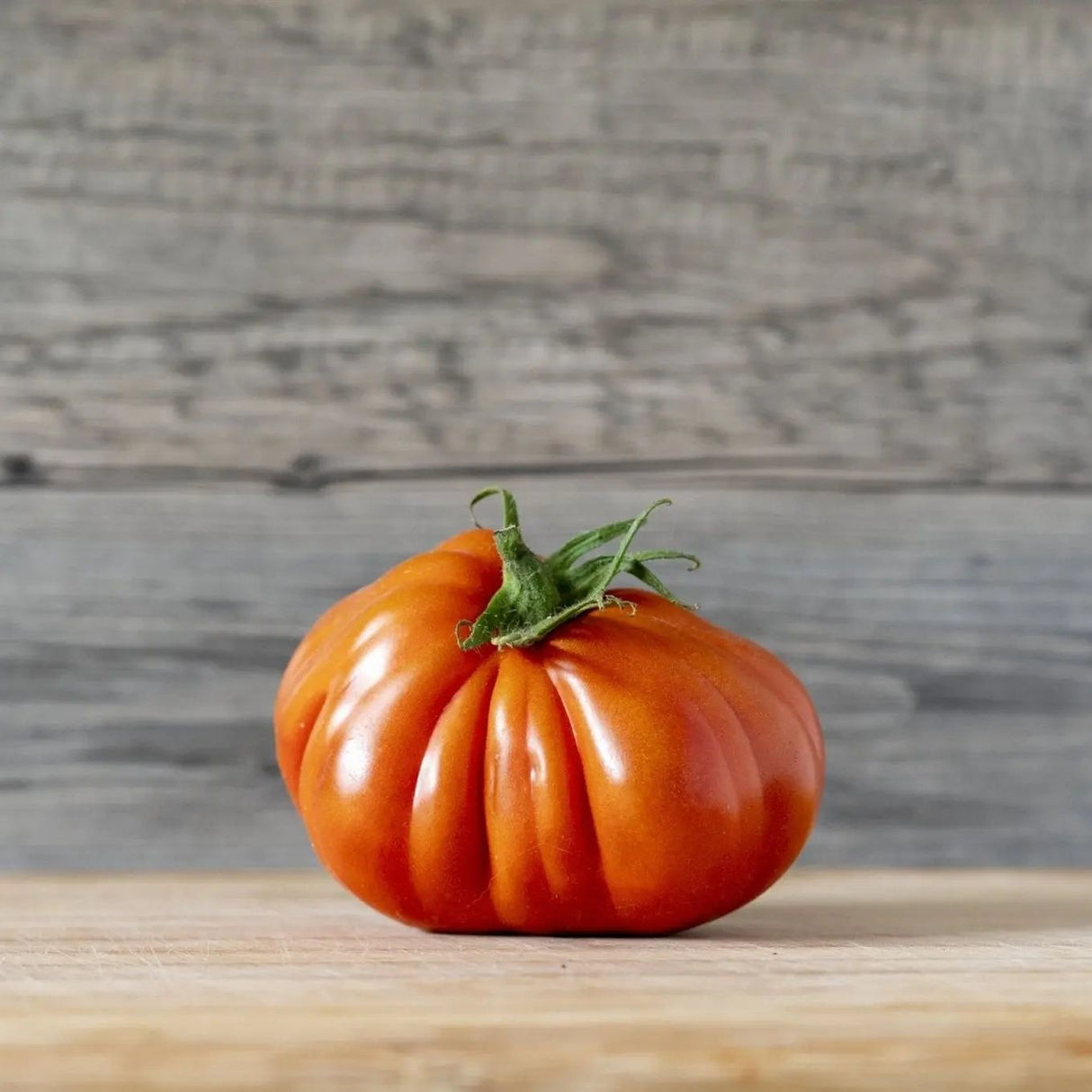 Tomato Seeds - Indeterminate - Mortgage Lifter Beefsteak - Alliance of Native Seedkeepers - Vegetable Seeds