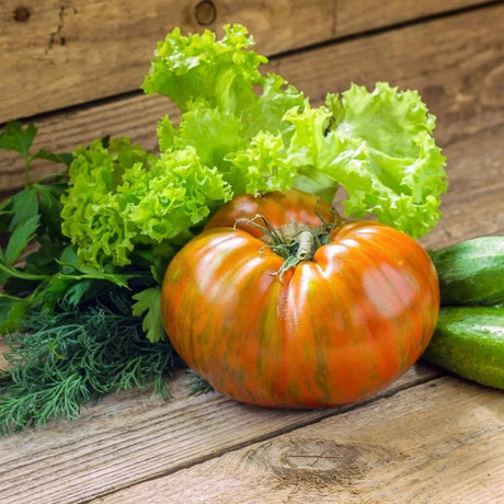 Tomato Seeds - Indeterminate - Pink Berkeley Tie Dye Standard - Alliance of Native Seedkeepers - Vegetable Seeds