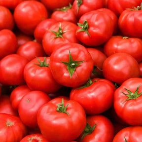 Tomato Seeds - Indeterminate - Rutgers Tomato Slicing - Alliance of Native Seedkeepers - Vegetable Seeds