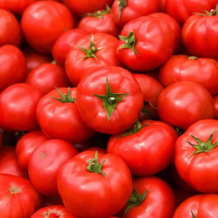 Rutgers Tomato Seeds