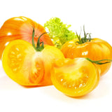 Tomato Seeds - Indeterminate - Striped German Beefsteak - Alliance of Native Seedkeepers - Vegetable Seeds