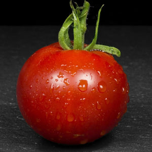 Tomato Seeds - Indeterminate - Stupice Slicing - Alliance of Native Seedkeepers - Vegetable Seeds