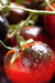 Tomato Seeds - Indigo Cherry Drops - Alliance of Native Seedkeepers - 0. New Items 2022