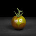 Tomato Seeds - Japanese Black Trifele - Alliance of Native Seedkeepers - Tomato, Purple