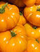 Tomato Seeds - Kellogg's Breakfast - Alliance of Native Seedkeepers - Tomato, Orange