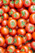 Tomato Seeds - Large Red Cherry - Alliance of Native Seedkeepers - 1. All Vegetables