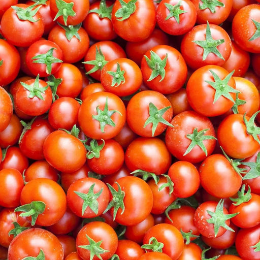 Tomato Seeds - Large Red Cherry - Alliance of Native Seedkeepers - 1. All Vegetables