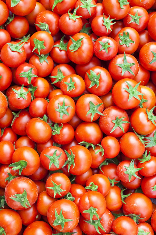 Tomato Seeds - Large Red Cherry - Alliance of Native Seedkeepers - 1. All Vegetables